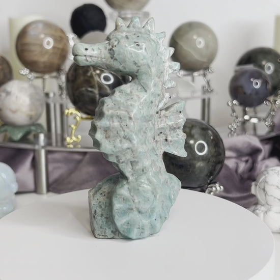 Amazonite Sea Horse